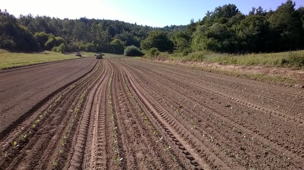 Готель Agroturism Stara Stala Borut Екстер'єр фото