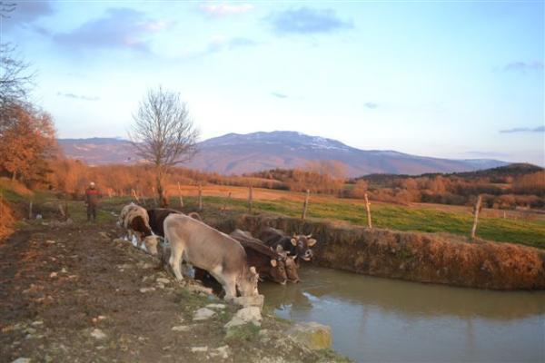 Готель Agroturism Stara Stala Borut Екстер'єр фото